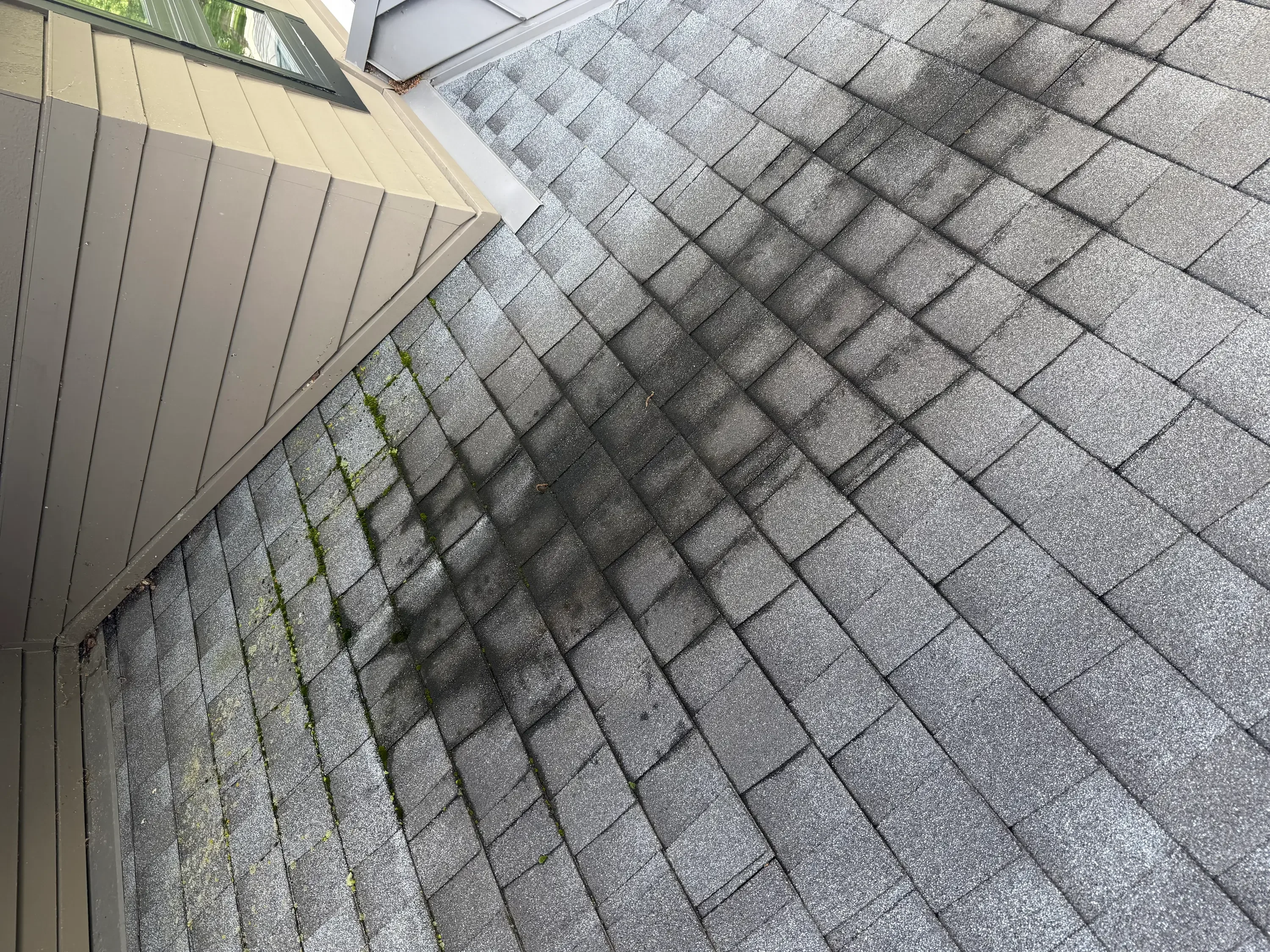 Asphalt shingle roof with moss and algae removal, before and after comparison